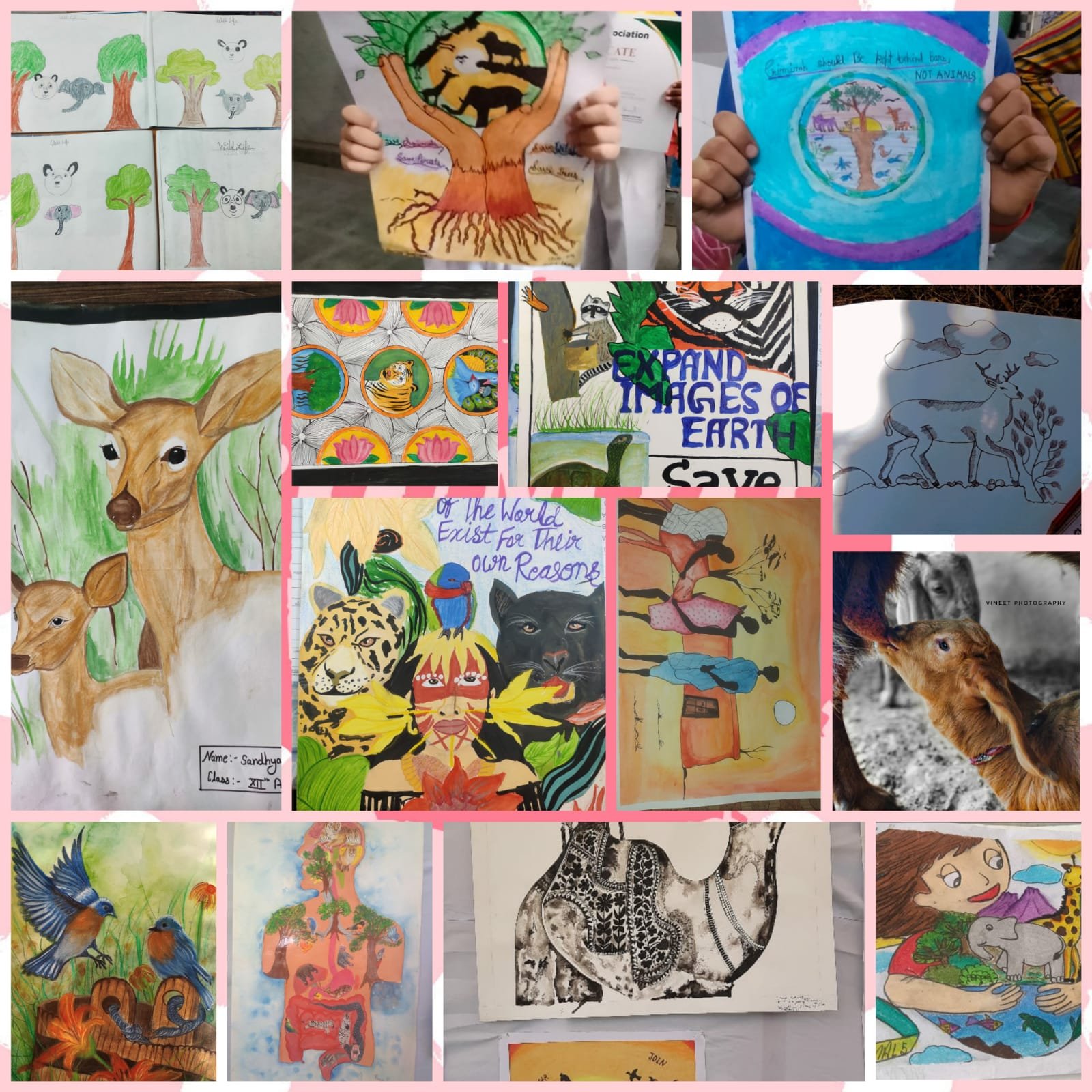 Environmental Education Program
